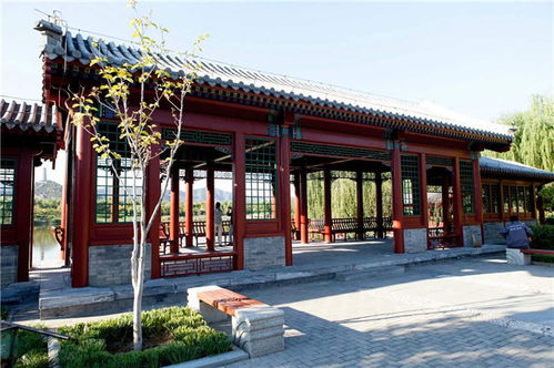 匠心雕琢，藝承古今——嘉興仿古門窗與東陽藝隆古建工程的傳承與創新
